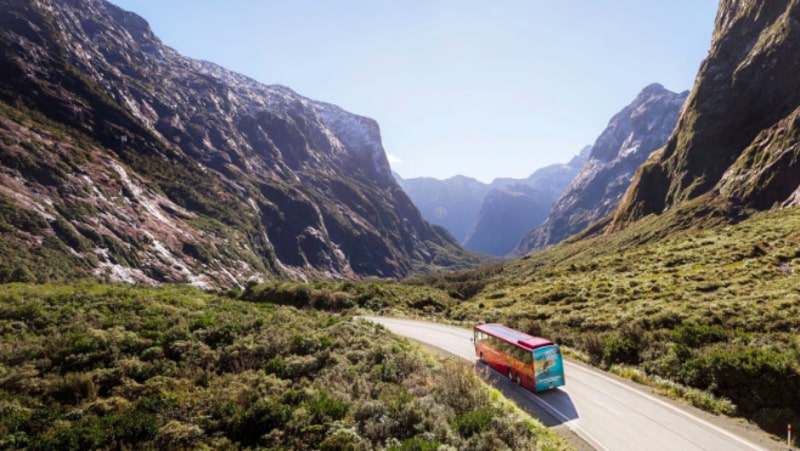 Experience Milford Sound, the 8th wonder of the world, with a fascinating Coach & Cruise trip brought to you by Southern Discoveries.